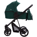 Flavio_12_g1.png