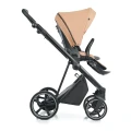 Ivi-Cinnamon-s1-scaled.jpg